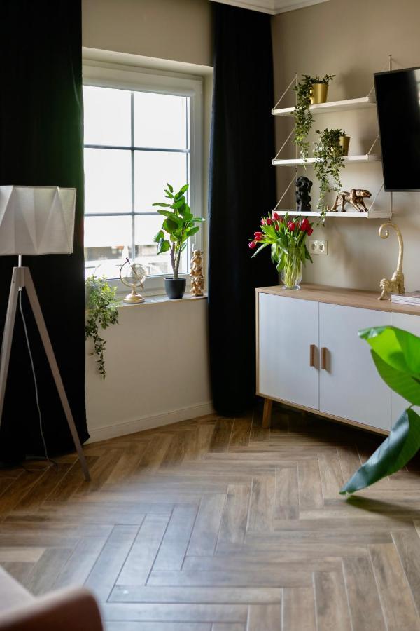 Apartamenty Zamkowe Centrum クフィジン エクステリア 写真